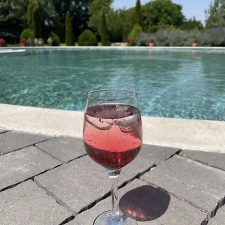 Forras Vendeghaz Villa Dunaegyhaza Luaran gambar