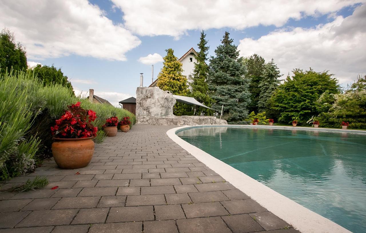 Forras Vendeghaz Villa Dunaegyhaza Luaran gambar