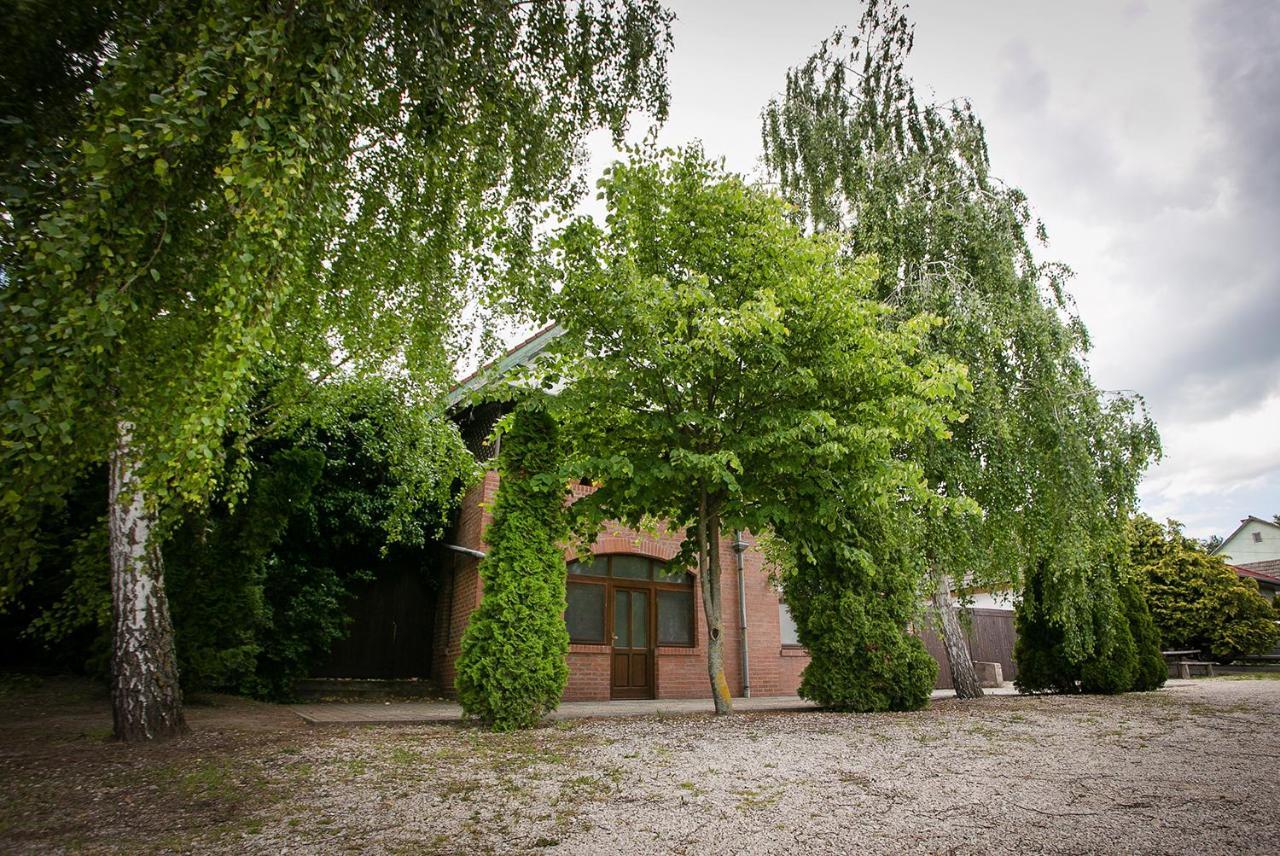 Forras Vendeghaz Villa Dunaegyhaza Luaran gambar